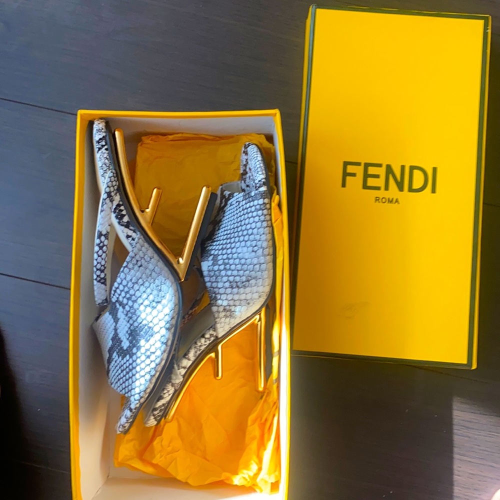 Snake skin shoes